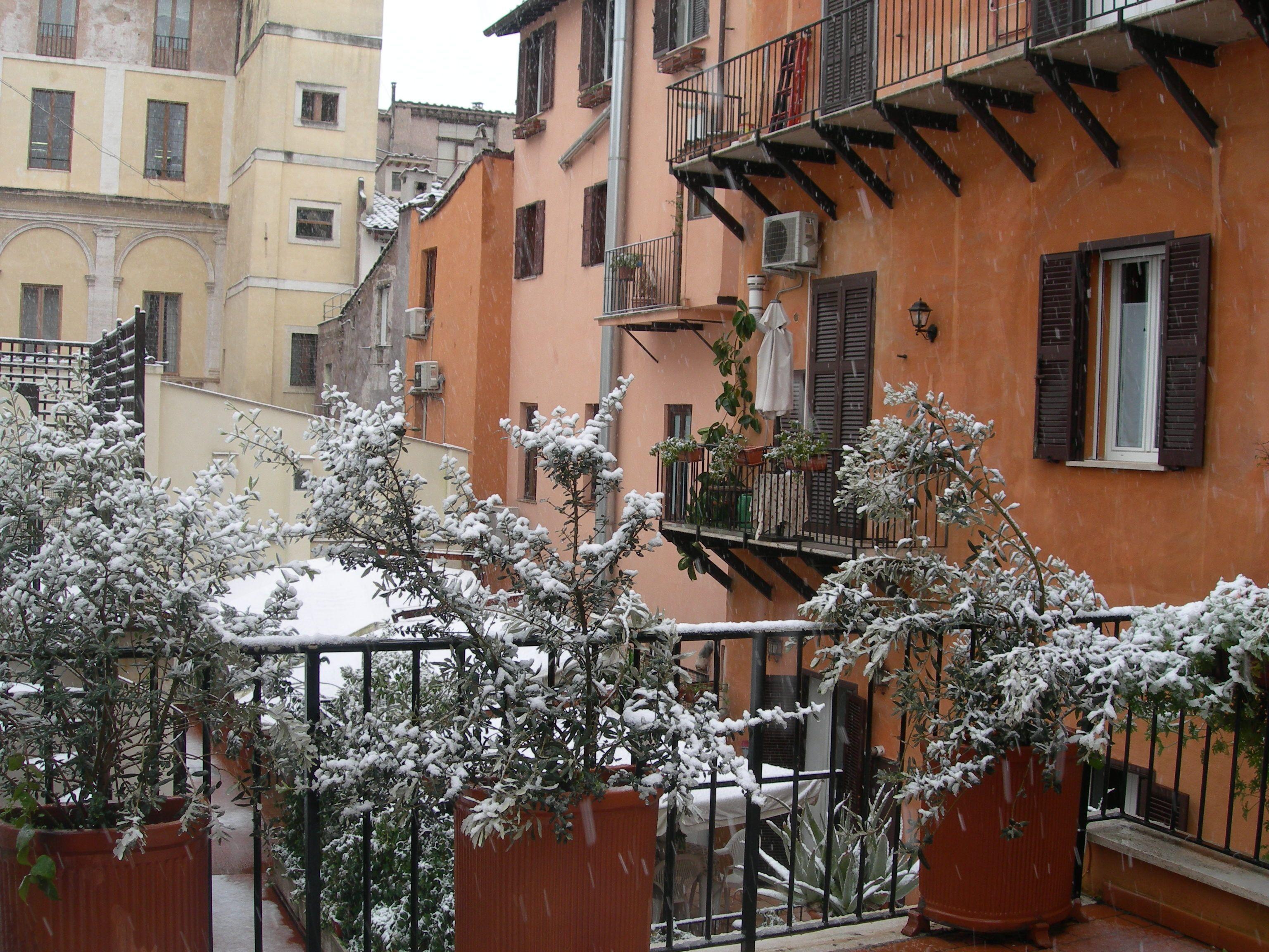 Pettinary Village B&B — Photos 3